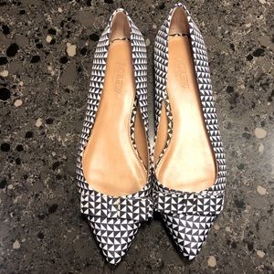 Amelia Geometric Flats